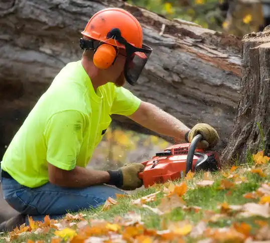 tree services Watson
